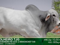 Lote 02