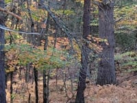 An October Mindful Minutes