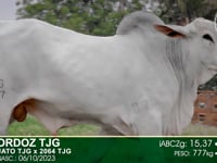 Lote 09