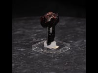 80364 - Spessartine, Schorl