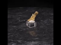 80490 - Gold
