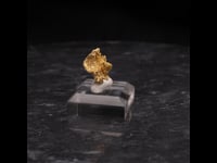 80498 - Gold