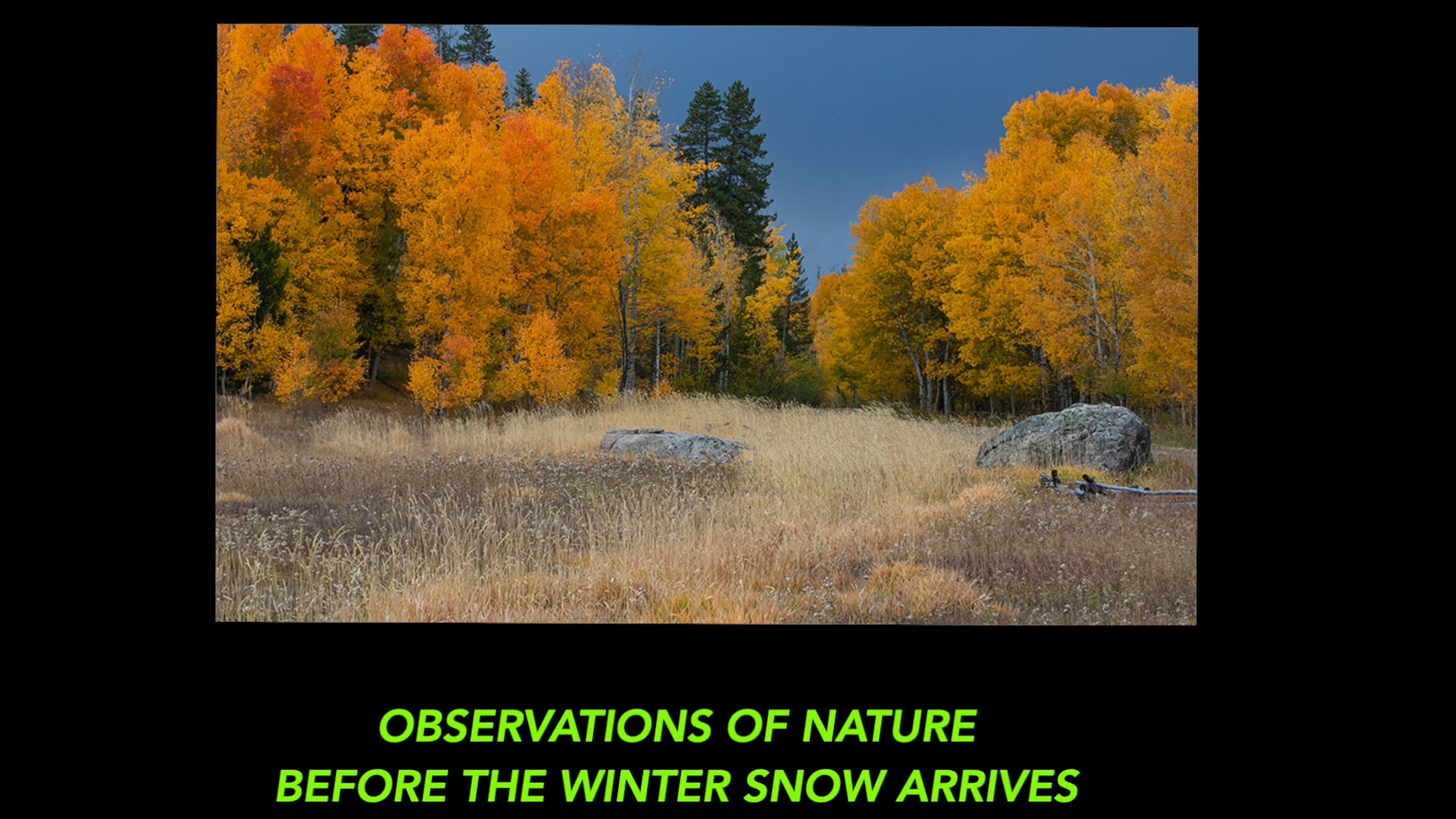 Fall Season | Videos & Movies on Vimeo