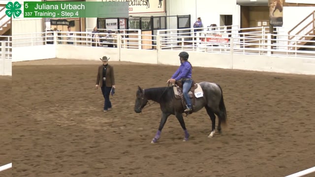 Training (12)