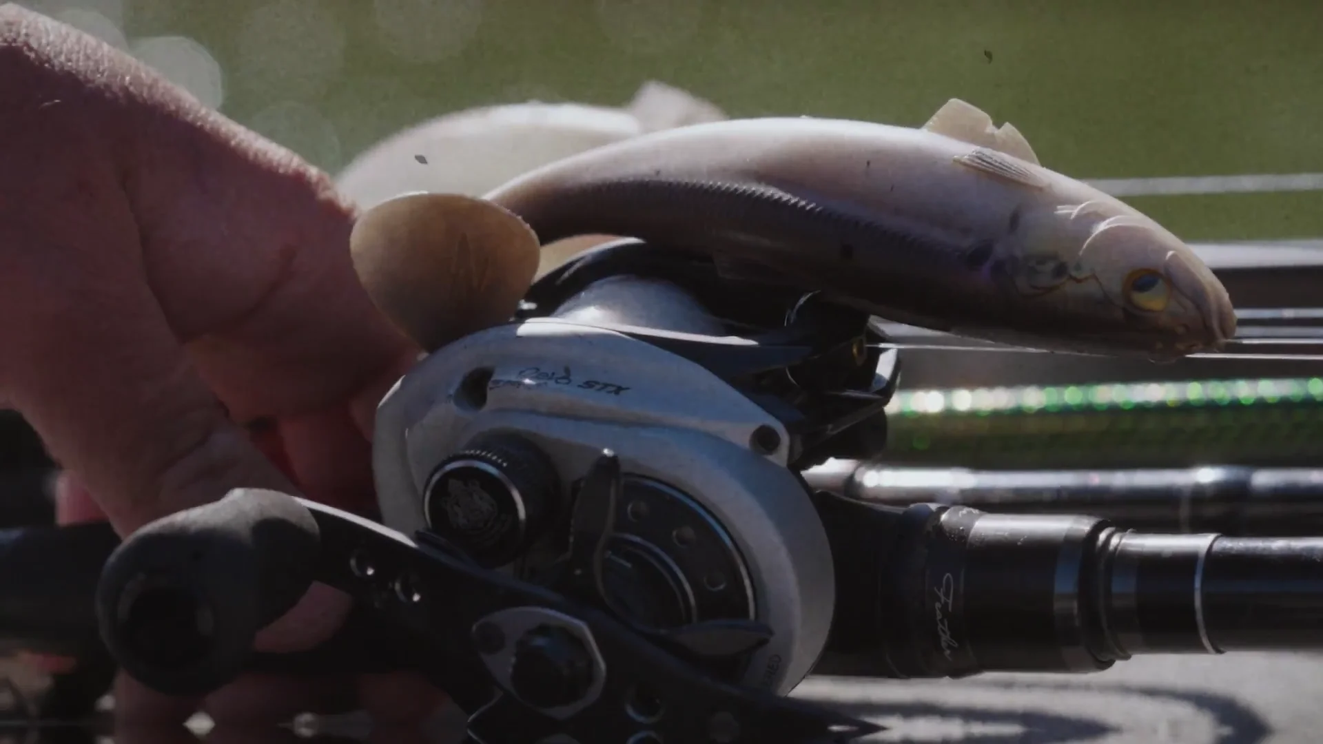 Z-Man Swag LT Swimbait - 6 Inch — Discount Tackle