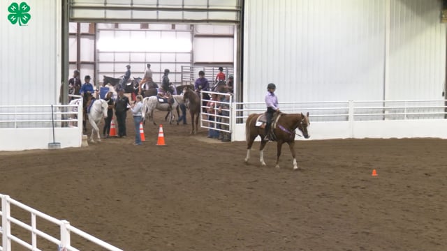 Western Horsemanship_101