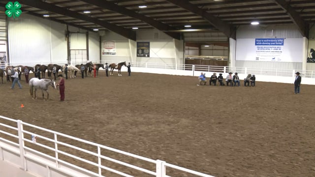 Western Horsemanship_82