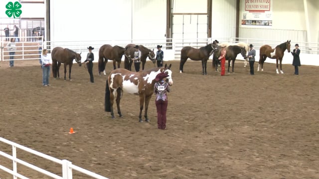 Western Horsemanship_85