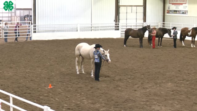 Western Horsemanship_89