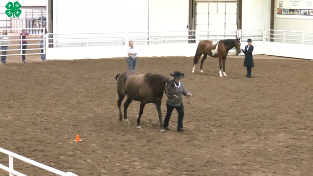 Western Horsemanship_91