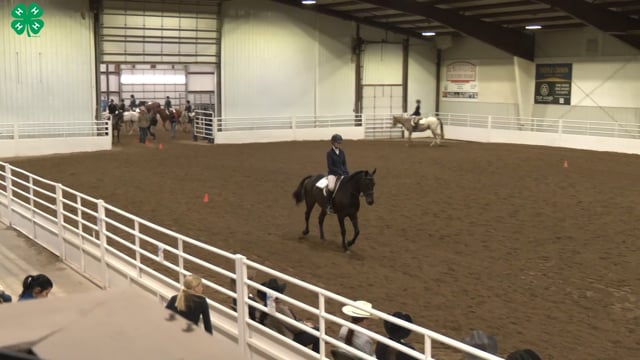 Saddleseat & English Equitation_101