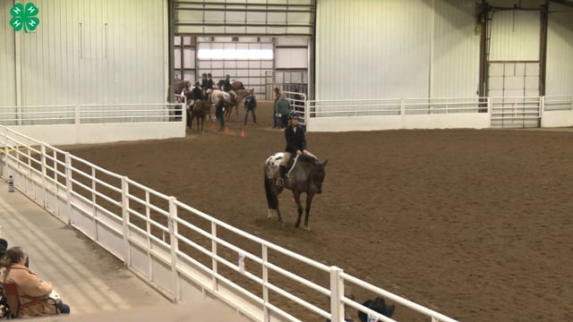 Saddleseat & English Equitation_102