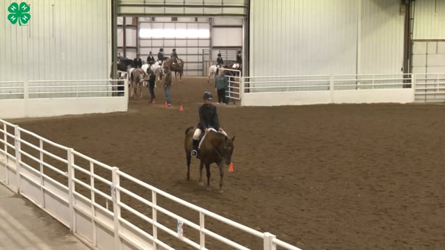 Saddleseat & English Equitation_103