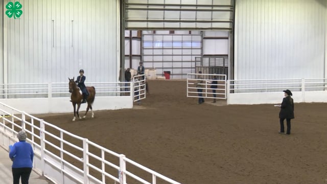 Saddleseat & English Equitation_1