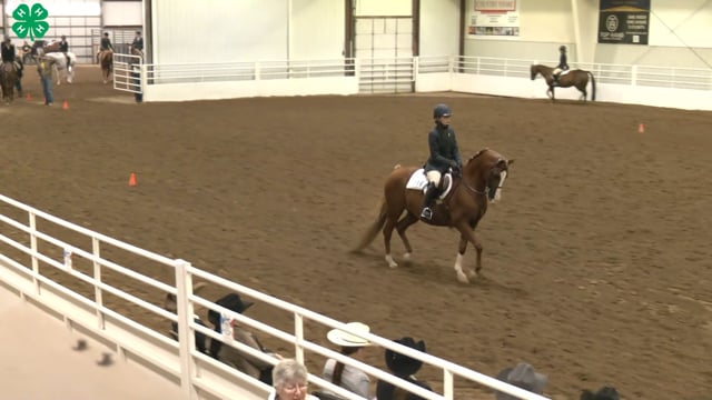 Saddleseat & English Equitation_105