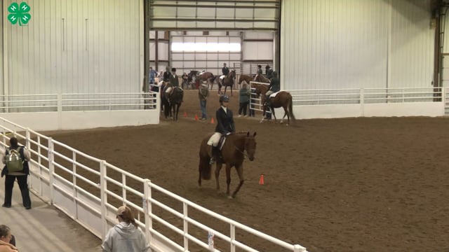 Saddleseat & English Equitation_106