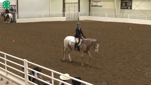 Saddleseat & English Equitation_100