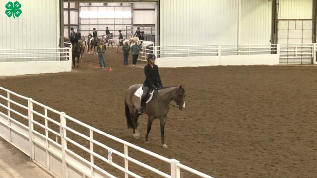 Saddleseat & English Equitation_109