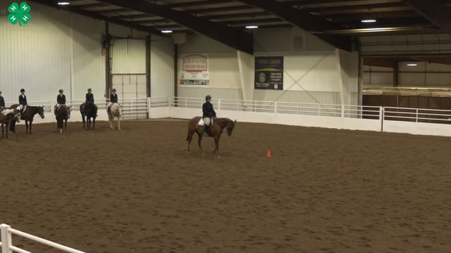 Saddleseat & English Equitation_11
