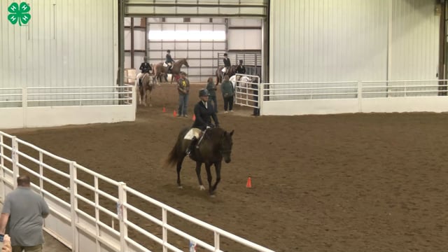 Saddleseat & English Equitation_110