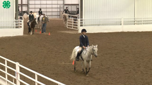 Saddleseat & English Equitation_112