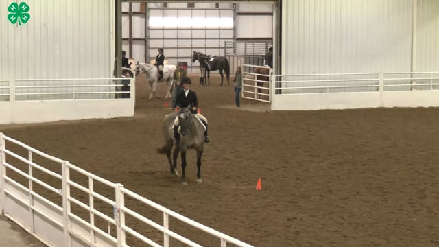 Saddleseat & English Equitation_114
