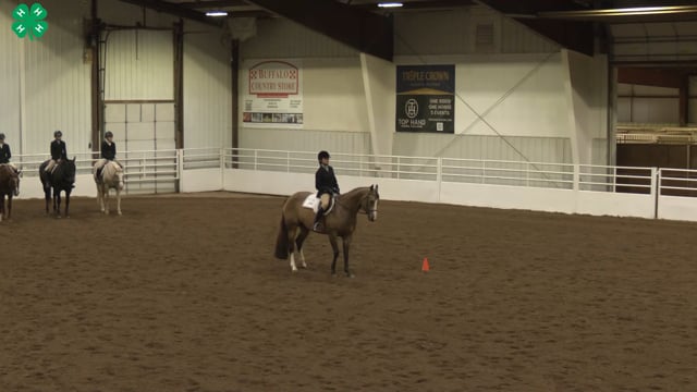 Saddleseat & English Equitation_12