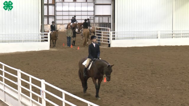 Saddleseat & English Equitation_14