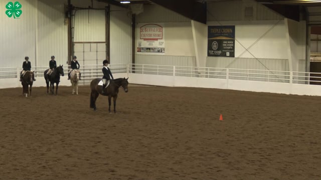 Saddleseat & English Equitation_15