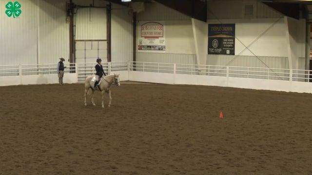 Saddleseat & English Equitation_18