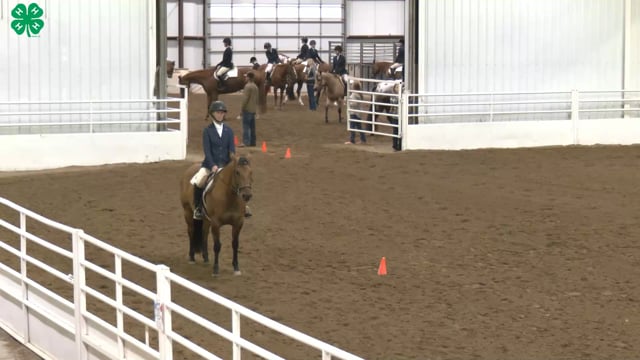 Saddleseat & English Equitation_19