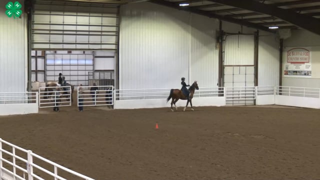 Saddleseat & English Equitation_2