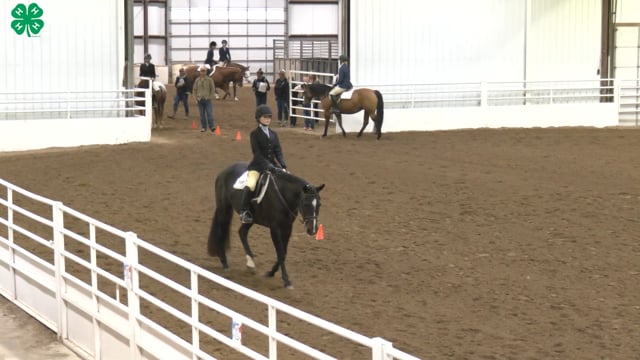 Saddleseat & English Equitation_20