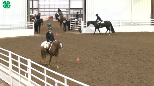 Saddleseat & English Equitation_21