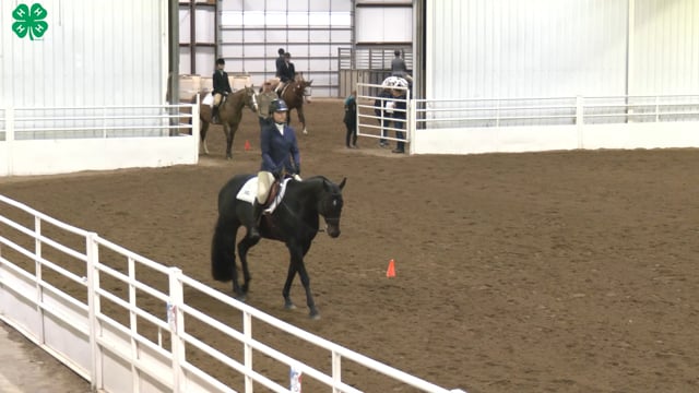 Saddleseat & English Equitation_22