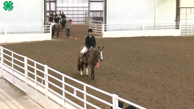 Saddleseat & English Equitation_23