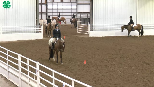 Saddleseat & English Equitation_24
