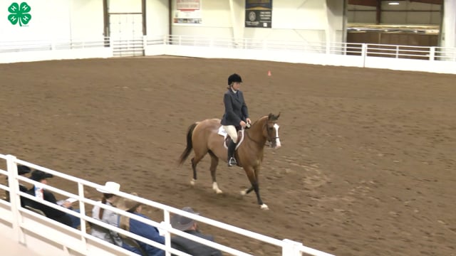 Saddleseat & English Equitation_25