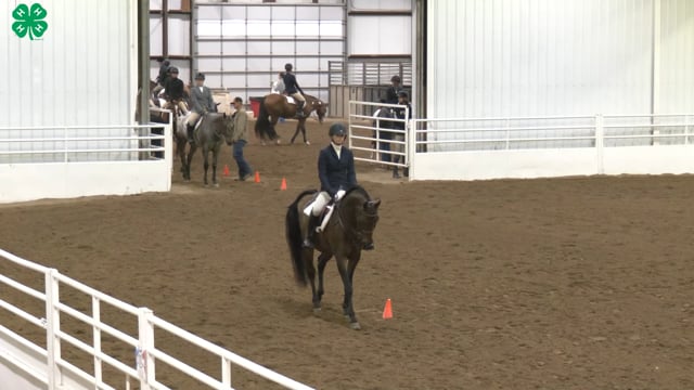 Saddleseat & English Equitation_26