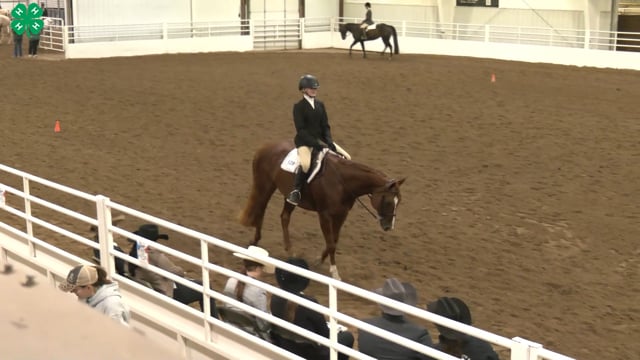 Saddleseat & English Equitation_108