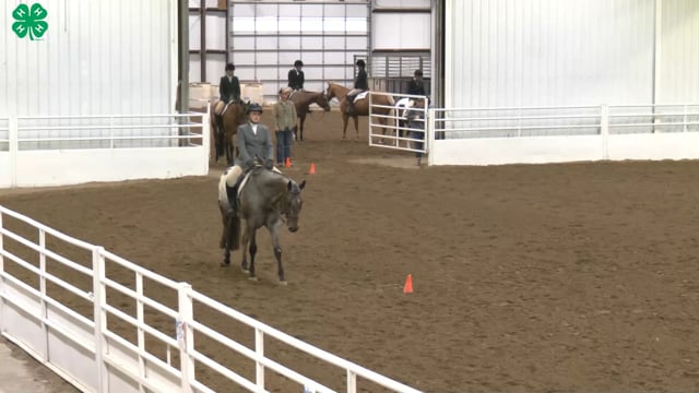 Saddleseat & English Equitation_28
