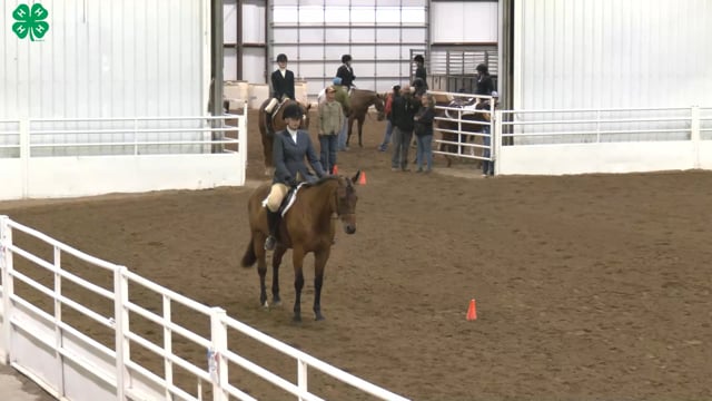 Saddleseat & English Equitation_29