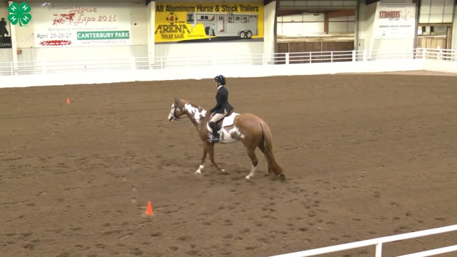 Saddleseat & English Equitation_3