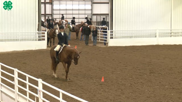 Saddleseat & English Equitation_30