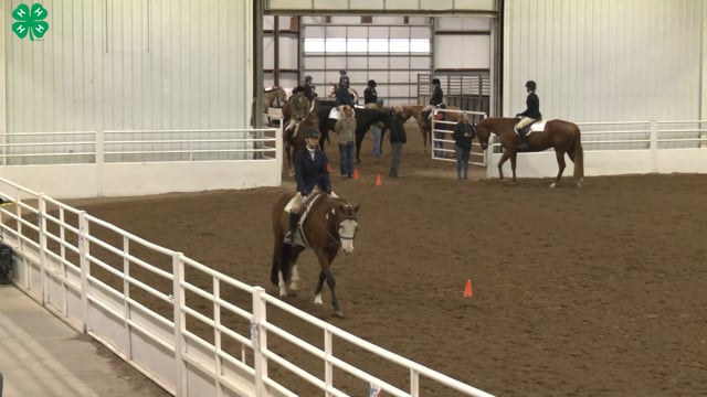 Saddleseat & English Equitation_31