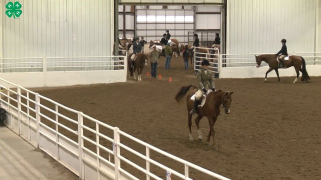 Saddleseat & English Equitation_32