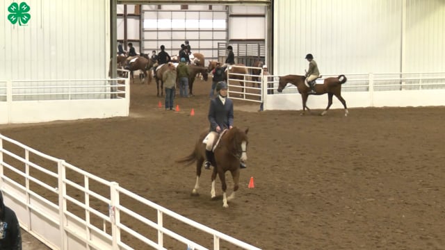 Saddleseat & English Equitation_33