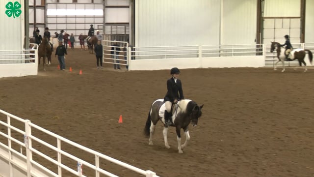 Saddleseat & English Equitation_35