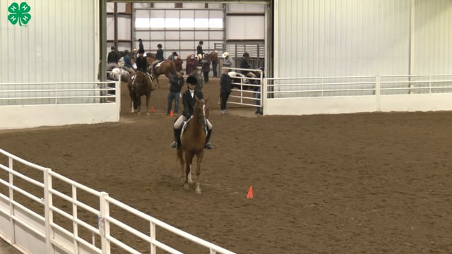 Saddleseat & English Equitation_36