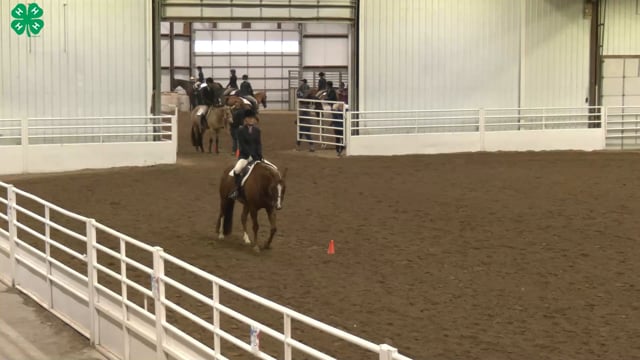 Saddleseat & English Equitation_37
